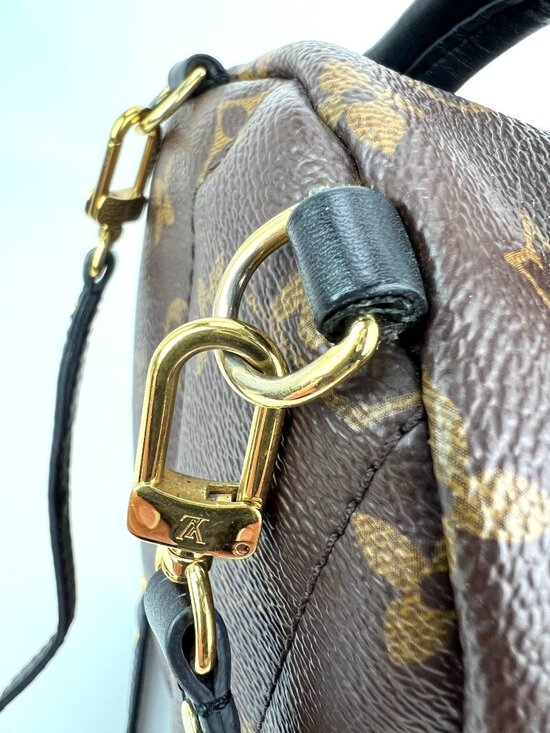 Louis Vuitton Palm Springs Mini Monogram Backpack Bag main image 9